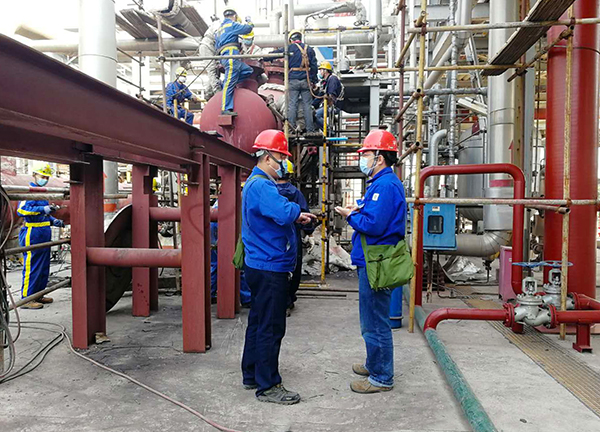 1586404504864796.jpeg 4.jpg