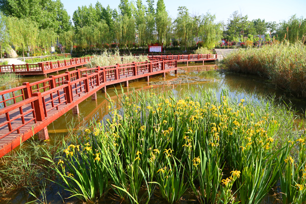 1588729541345139.jpeg 006C7A1822.JPG