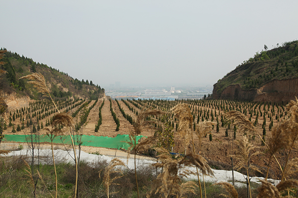 1618391745881987.jpeg IMG_1335600.jpg