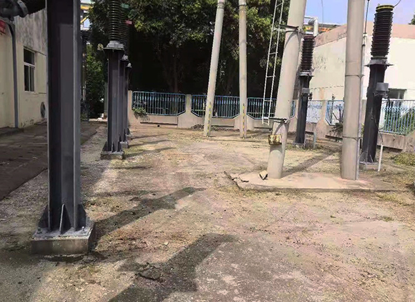 1629368323328231.jpeg 除草1.jpg