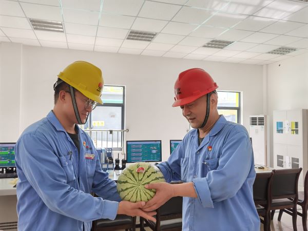 1629769623411264.jpeg 2.jpg