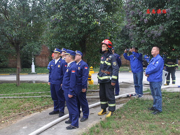 1635416902641553.jpeg IMG_3710_proc600.jpg