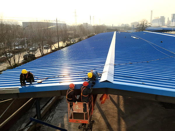 1645748509157355.jpeg 5.jpg