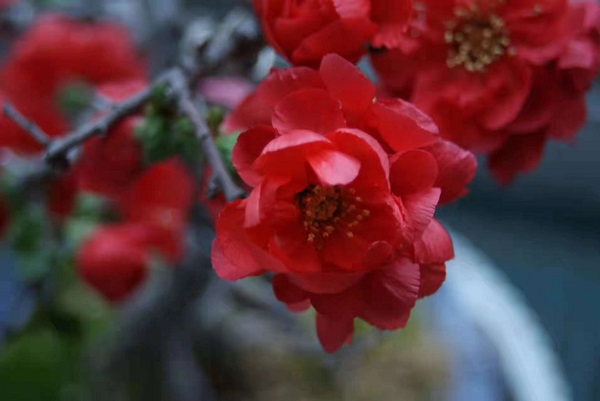 1648463761396641.jpeg 642634953662345406.jpg