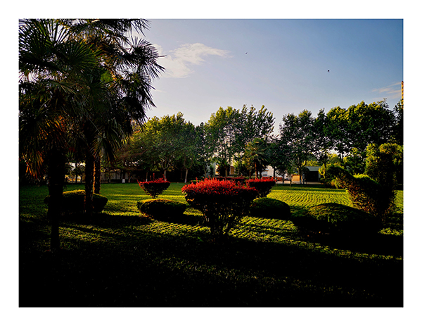 1654150188163776.jpeg IMG_20220601_082505.jpg