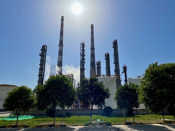 1660201591294021.jpeg 555.jpg