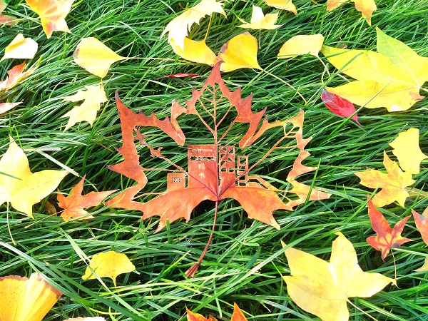 1666661698212836.jpeg 3.jpg