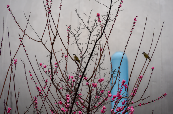 1679466867222146.png 微信圖片_20230322143247.png