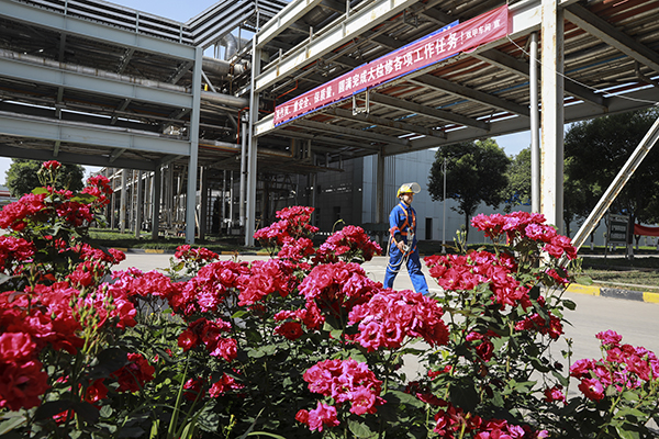 1684119227950715.jpeg 3S3A7433333 600.jpg