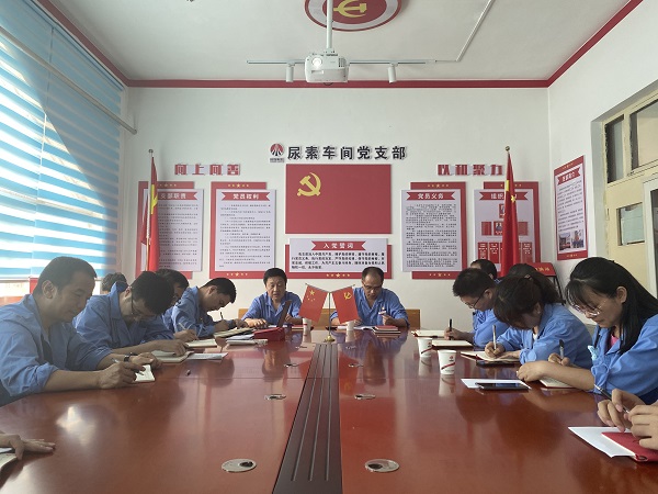 6月19日下午，尿素車間黨支部與法律審計部黨支部開展結對共建活動2.jpg