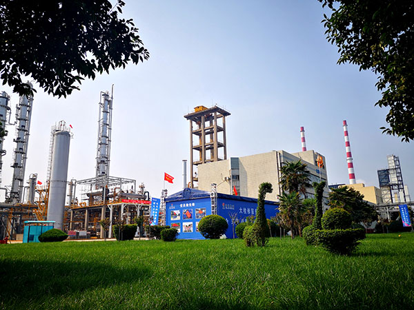 1696924068960008.jpeg IMG_20231010_114538 600.jpg