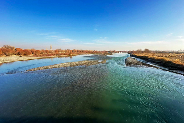 1702866413859325.jpeg ad4dfccf3eace72040b7cceaef642e1.jpg