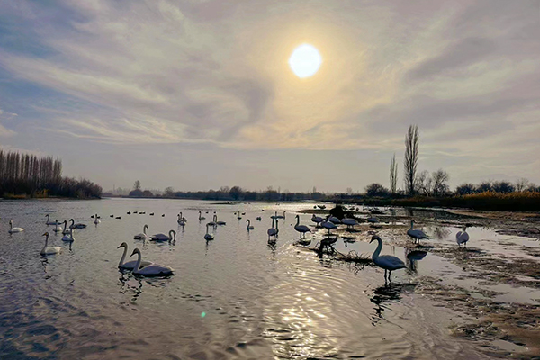 1702866460367069.jpeg a9b4d7d8e83f88f933153a8192ce591.jpg