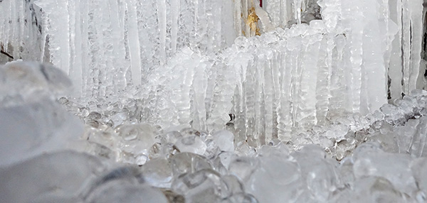 1706077685363701.jpeg 冬之精靈4.jpg