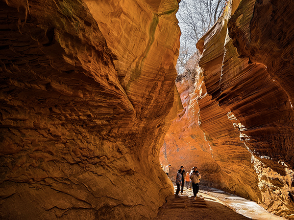 1708506956355393.jpeg 6.jpg