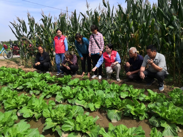 1710401616162163.jpeg 1664185577815713.jpeg