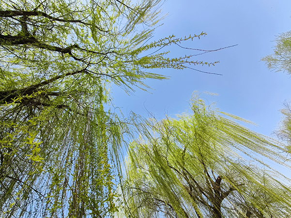 1711015211361921.jpeg 3 600.jpg