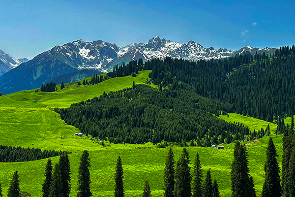 1716776154698729.jpeg 6948542bdb861f8acc958458646d480 600.jpg