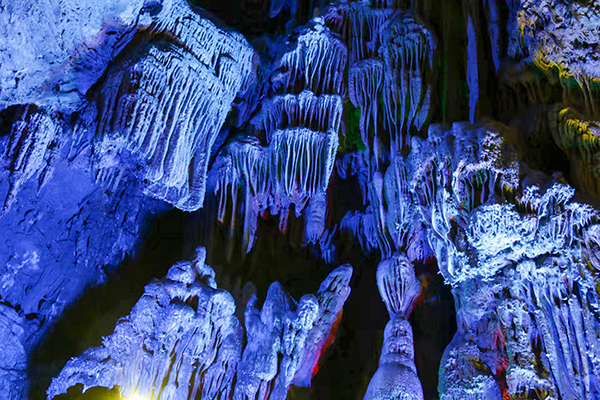 1728730746461561.jpeg 5 600.jpg