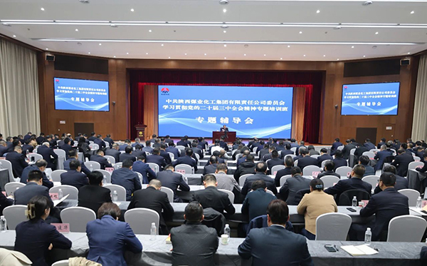 1731999065721579.jpeg 20241119104753_83277.jpg