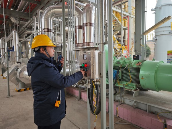 1735172755516094.jpeg da4b1e3a894c52d179ff71d7d91343c.jpg