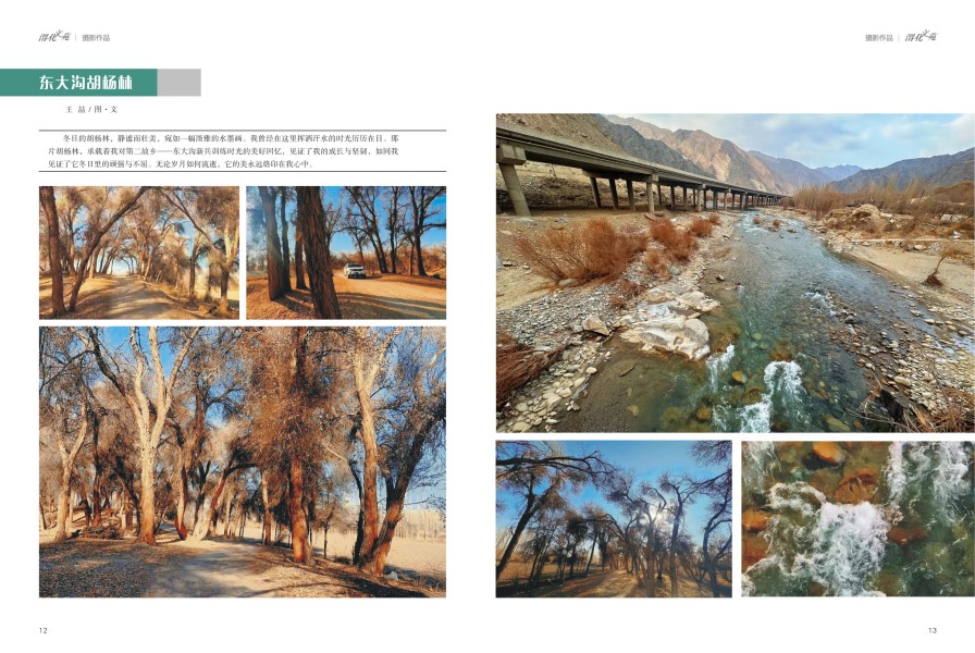 1736910381995778.jpeg 7.jpg