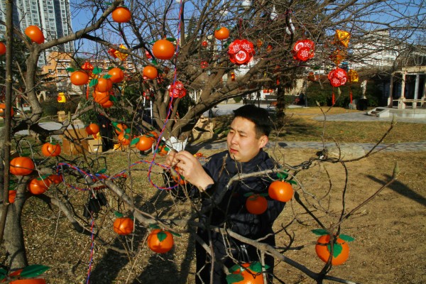 1736921062643516.jpeg 1.jpg