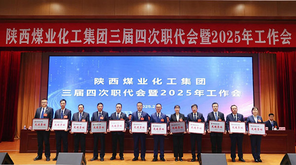 1739329721136742.jpeg 20250212082049_89312.jpg