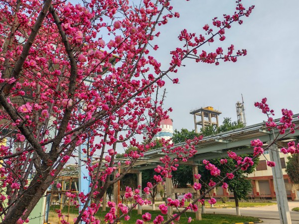 181742286269292813.jpg b35471a778e175f64017f20eb9a337b.jpg