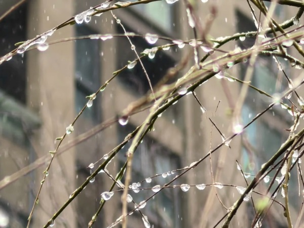 291743211163790008.jpg 春景雪意配圖2.jpg