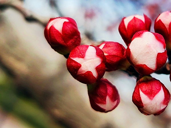 071744022119653521.jpg 7 副圖.jpg