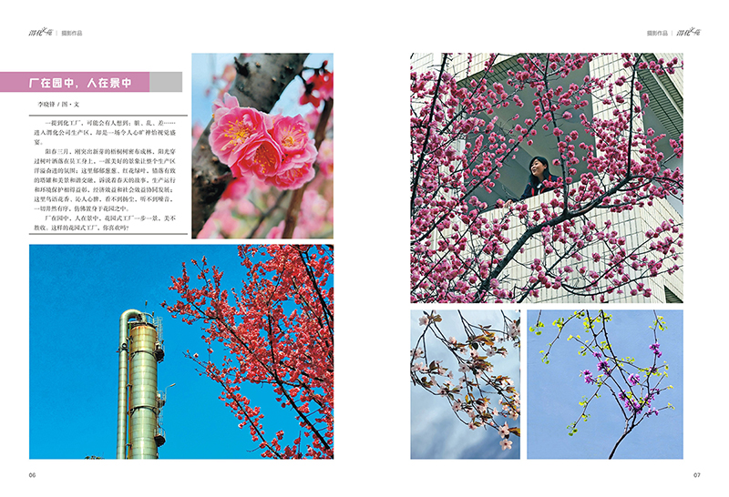 291748482662186484.jpg 4.jpg