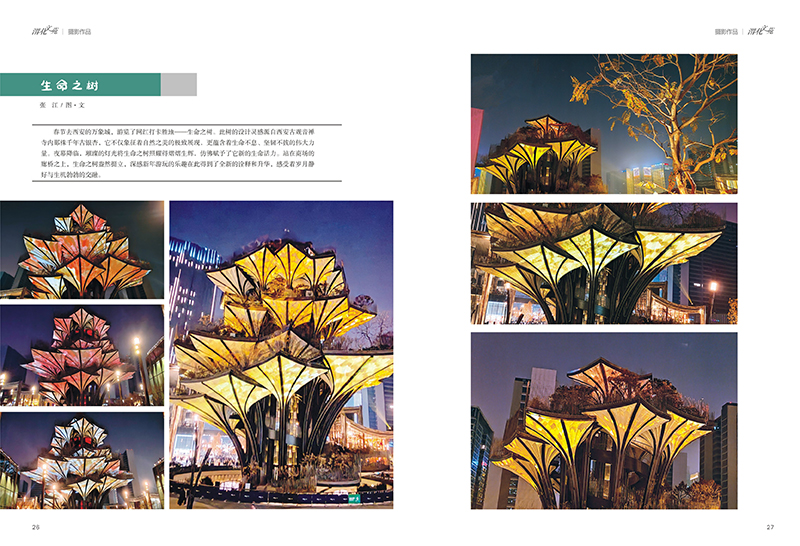 291748482730695752.jpg 14.jpg