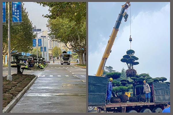 301761782642130799.jpg 6bf8166cbaeb5ad01ba04ae43a4f837b 副圖 00 600.jpg